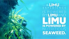 Limu