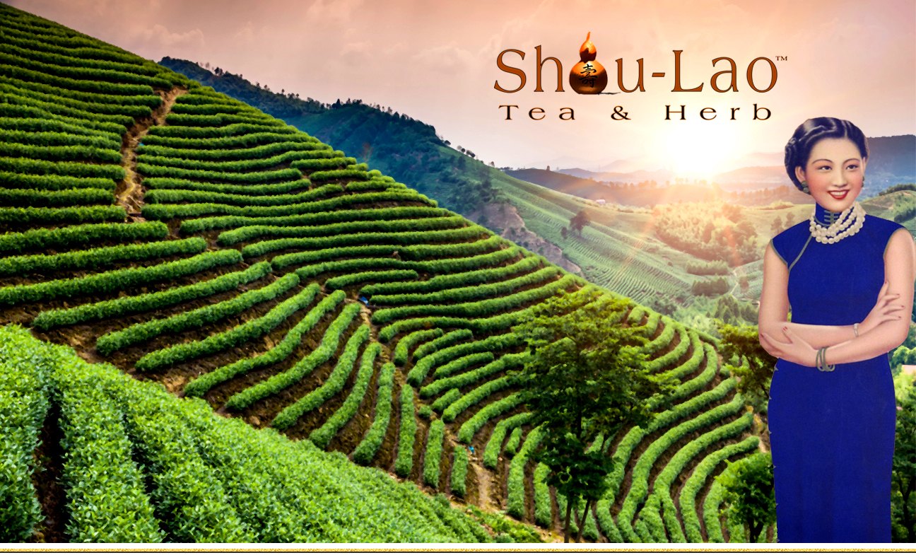 Shou-Lao Tea