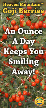 Goji Berries