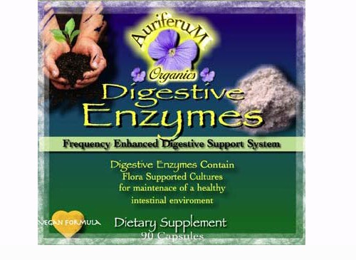 Digestive Enzymes 