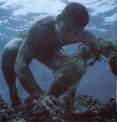 diver collecting moui moui